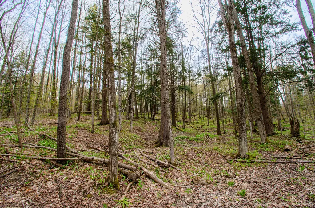 4839 Bunker Hill Road Echo Township MI 49622