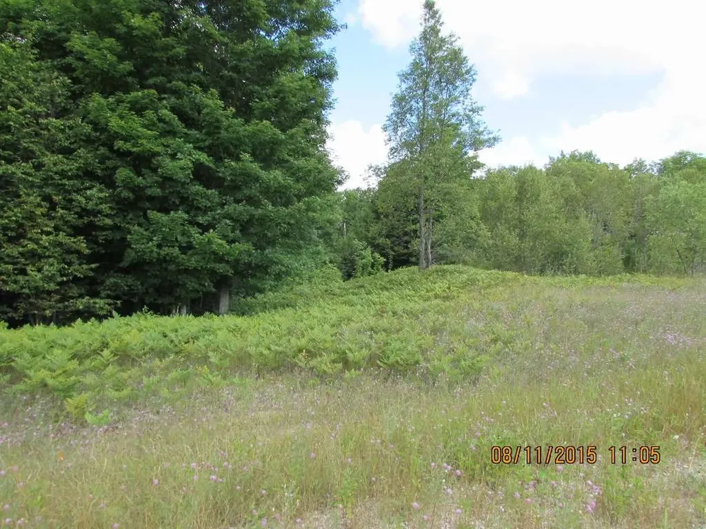 Unit 22 Grouse Drive Kalkaska Township MI 49646