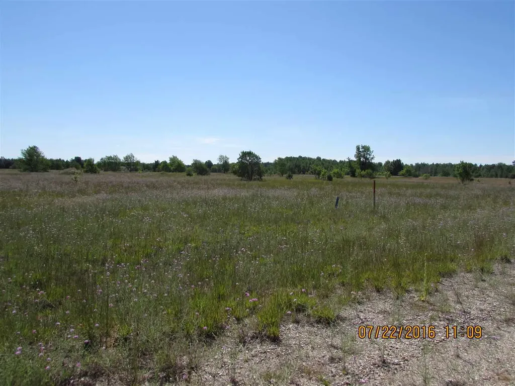 71 Grouse Drive Kalkaska Township MI 49646