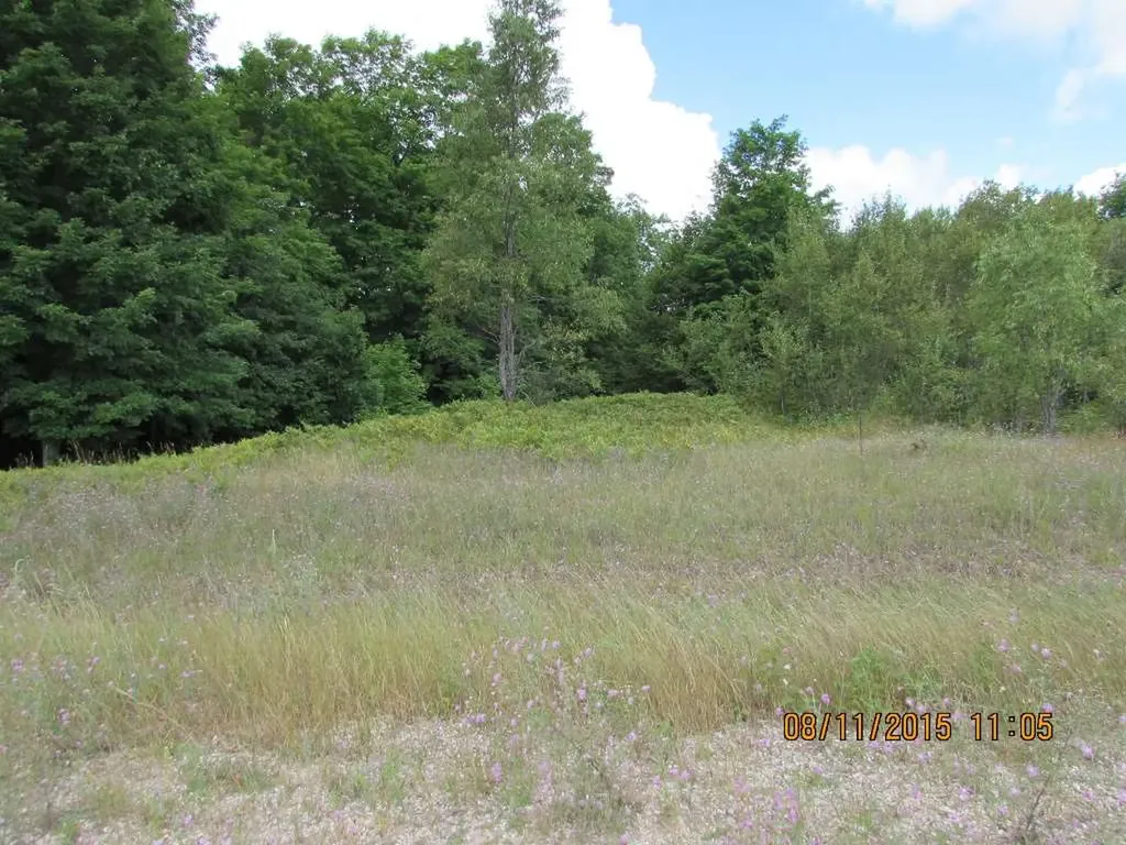 501 Grouse Drive Kalkaska Township MI 49646