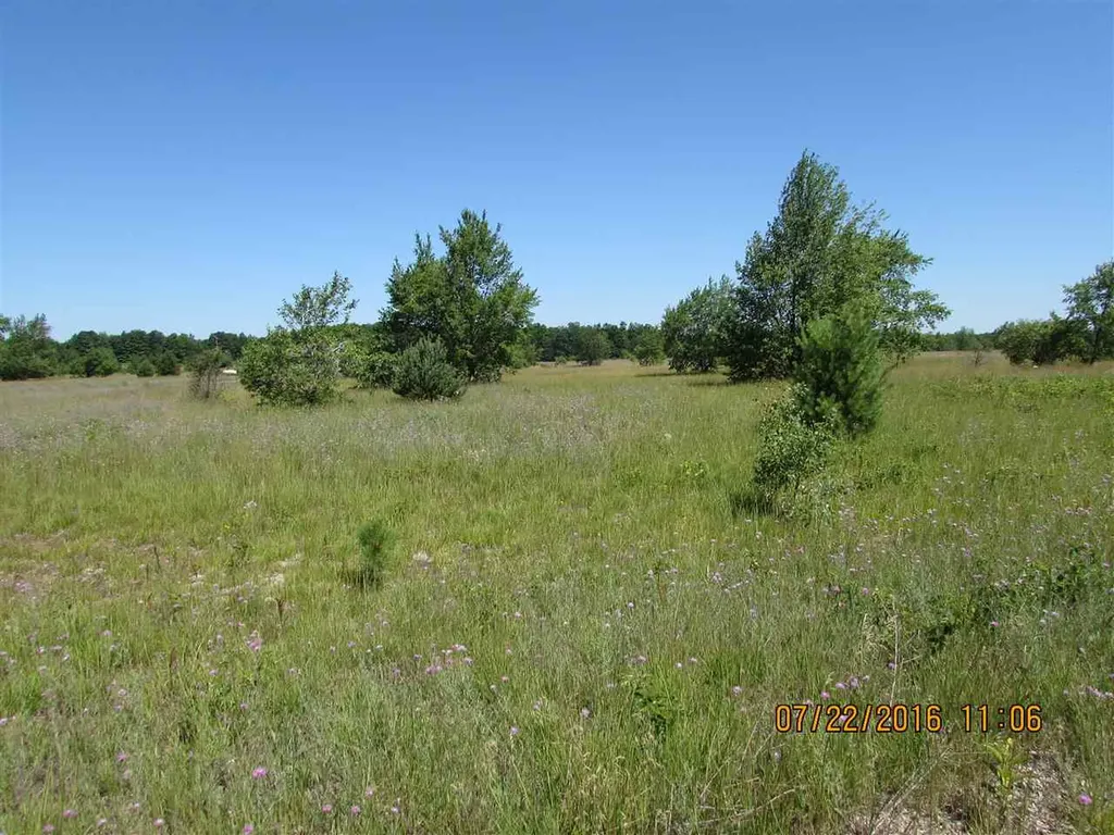 501 Grouse Drive Kalkaska Township MI 49646
