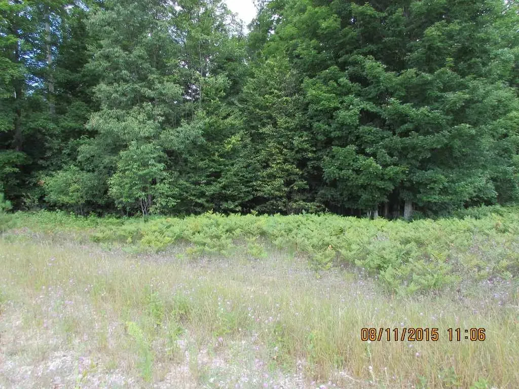 455 Grouse Drive Kalkaska Township MI 49646