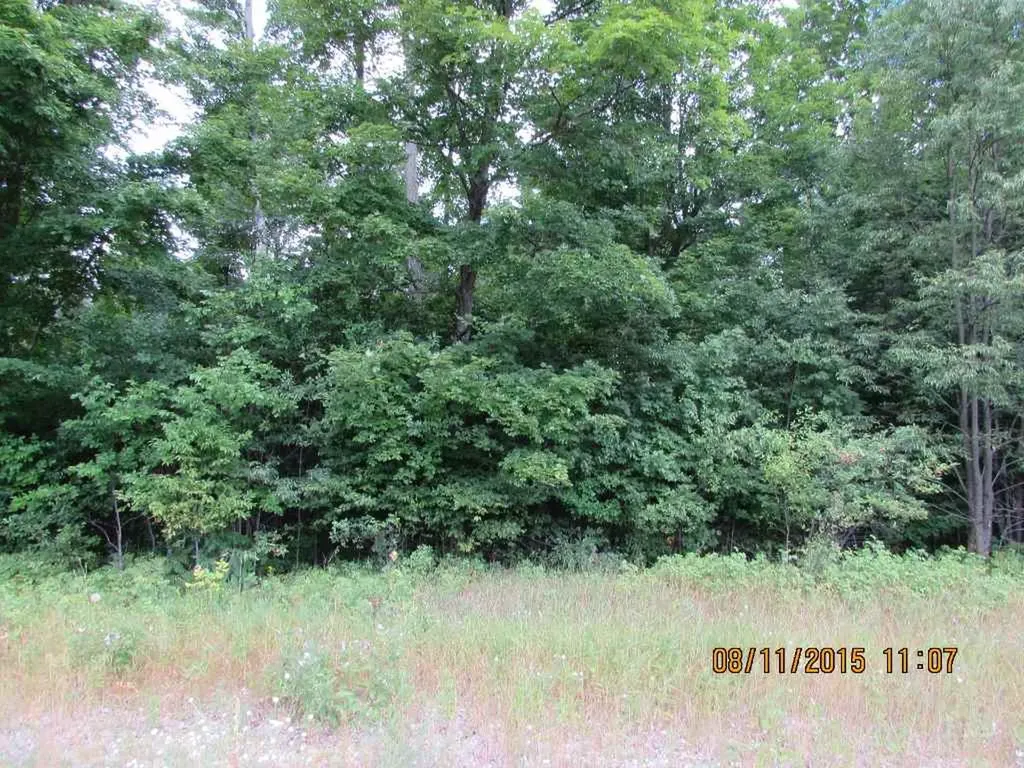 455 Grouse Drive Kalkaska Township MI 49646
