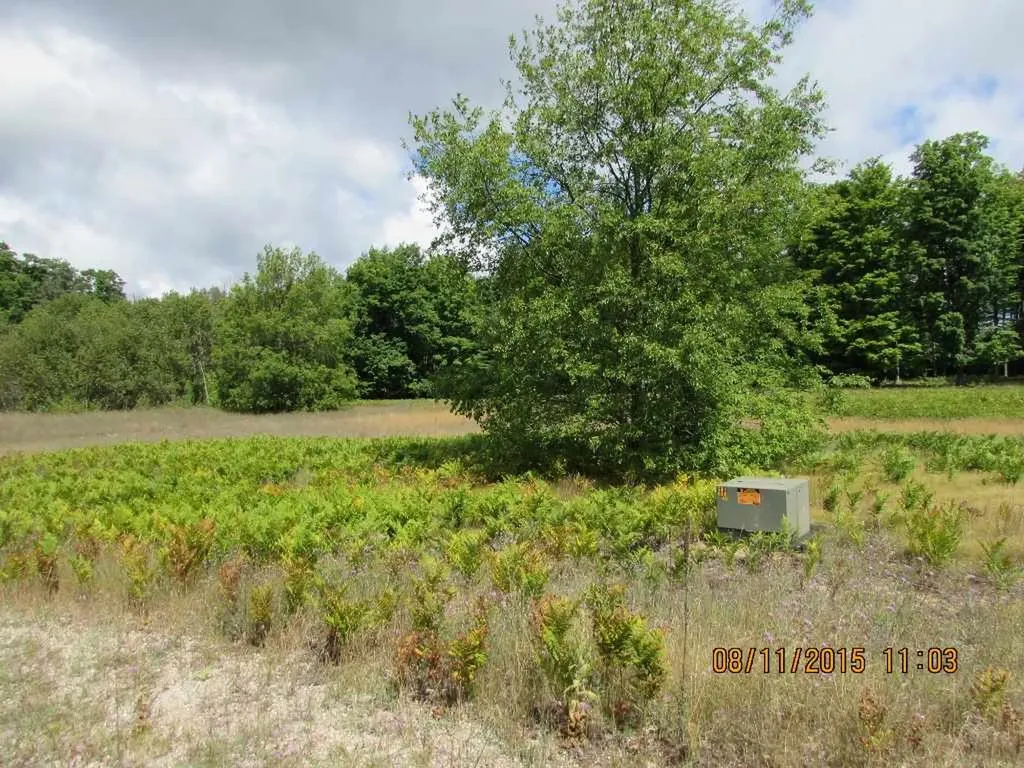 515 Grouse Drive Kalkaska Township MI 49646