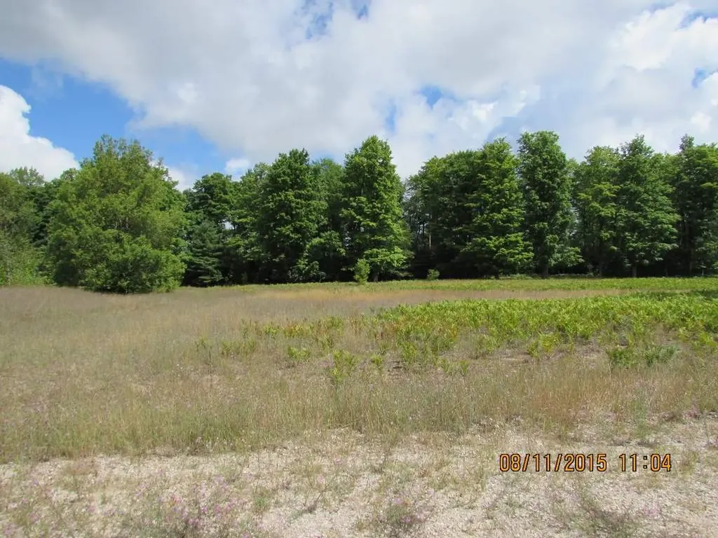 515 Grouse Drive Kalkaska Township MI 49646