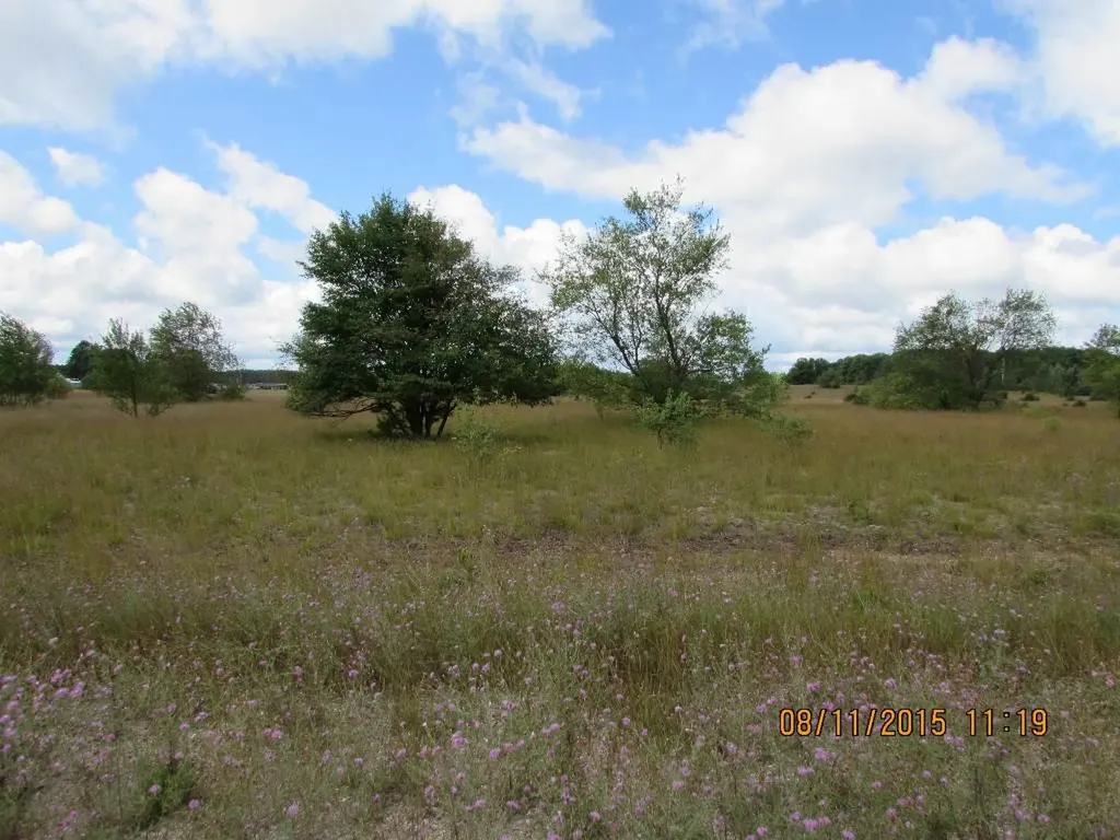 133 Grouse Drive Kalkaska Township MI 49646