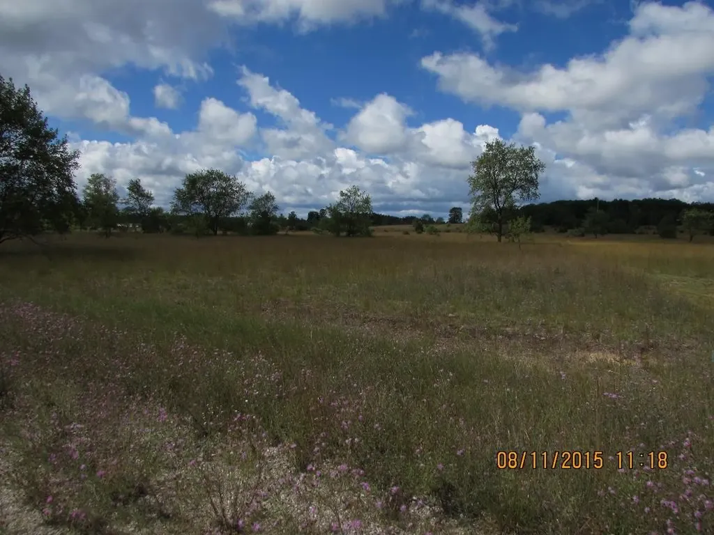 Unit 23 Grouse Drive Kalkaska Township MI 49646