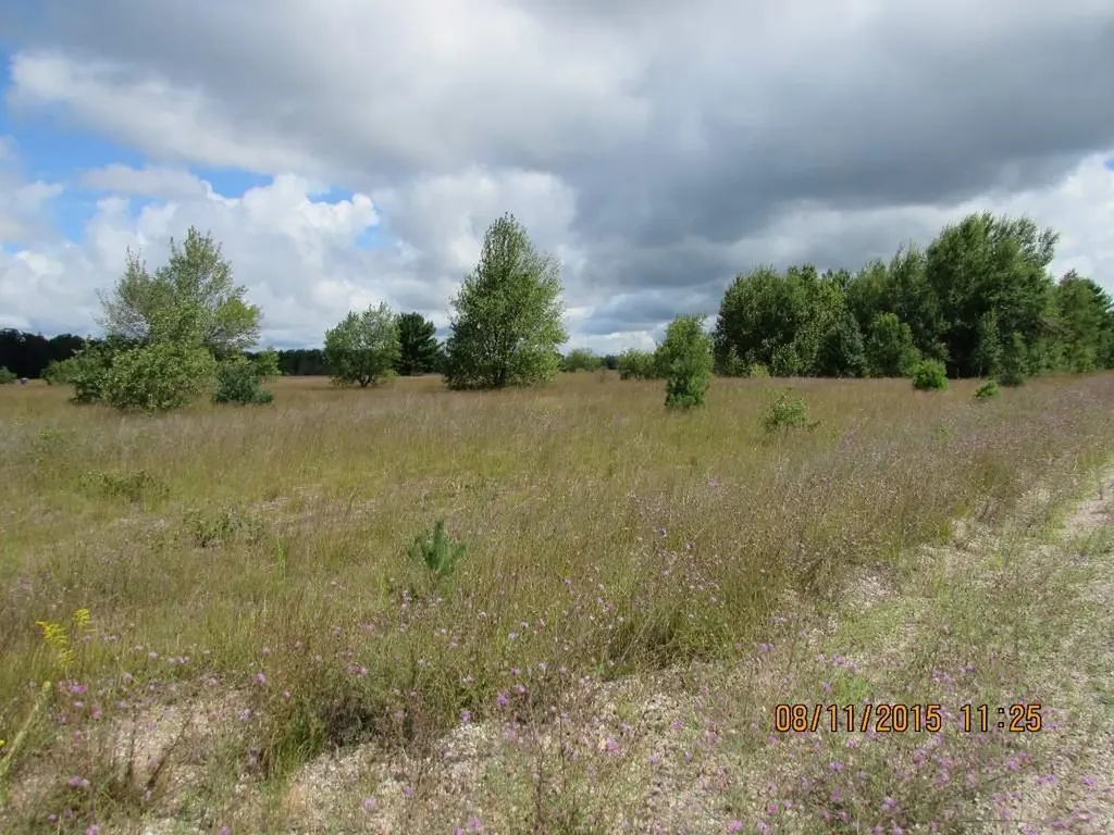 Unit 3 Grouse Drive Kalkaska Township MI 49646