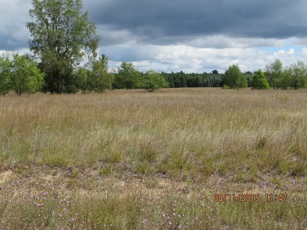 276 Grouse Drive Kalkaska Township MI 49646