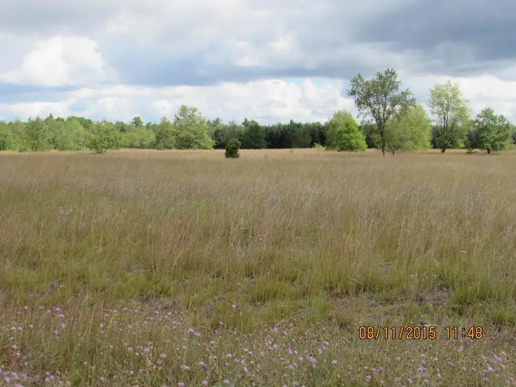 276 Grouse Drive Kalkaska Township MI 49646