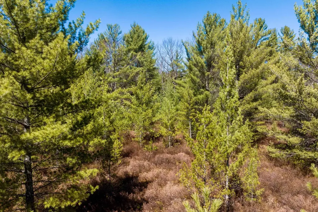 VL3 Mud Lake Road Green Lake Township MI 49643