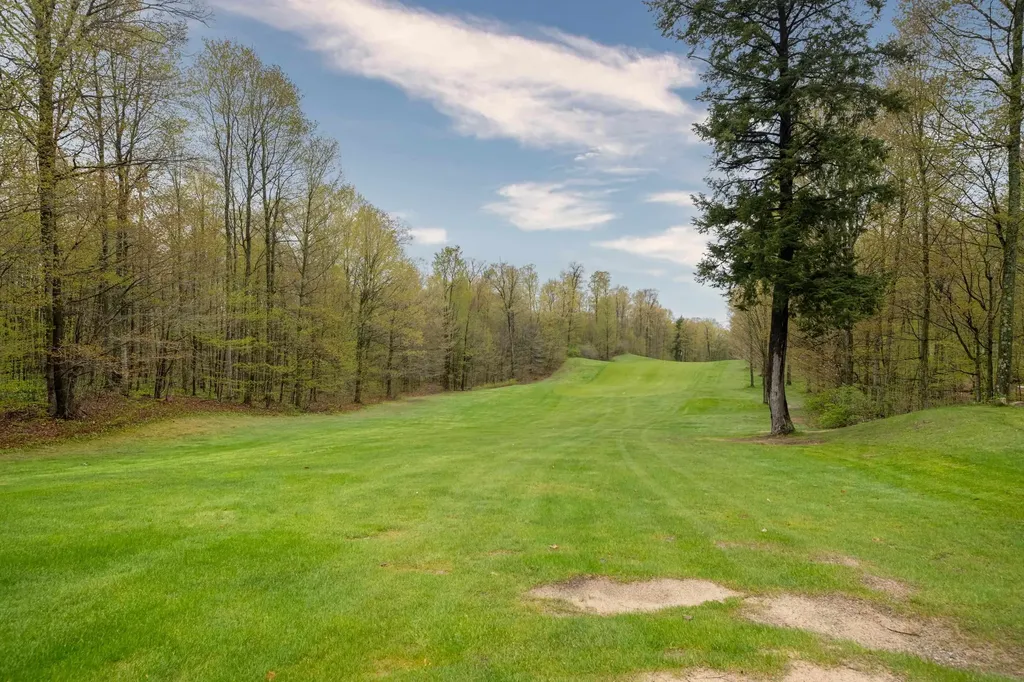 3055 White Tail Drive Kearney Township MI 49615
