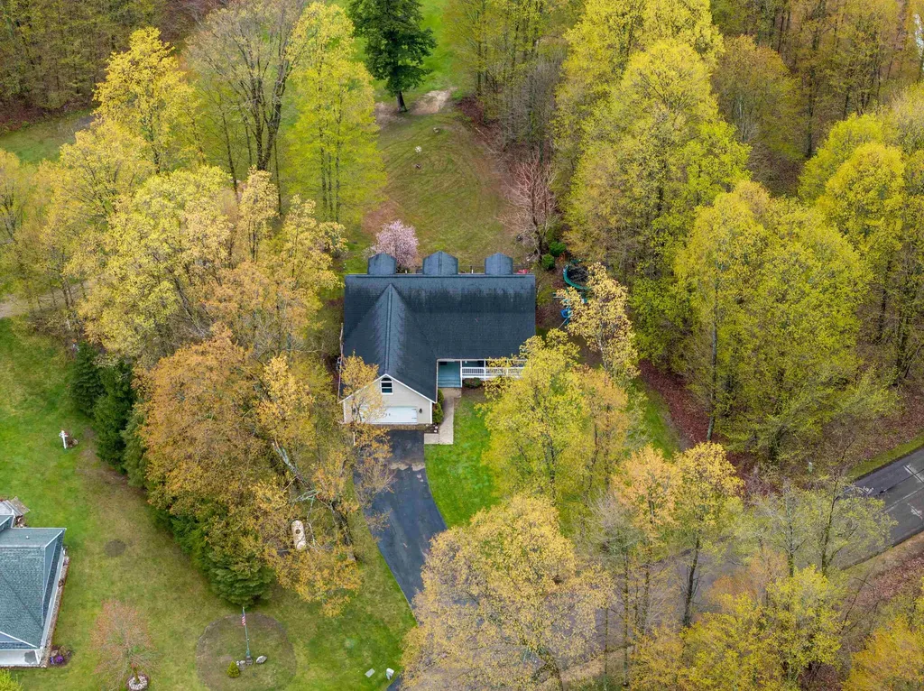 3055 White Tail Drive Kearney Township MI 49615
