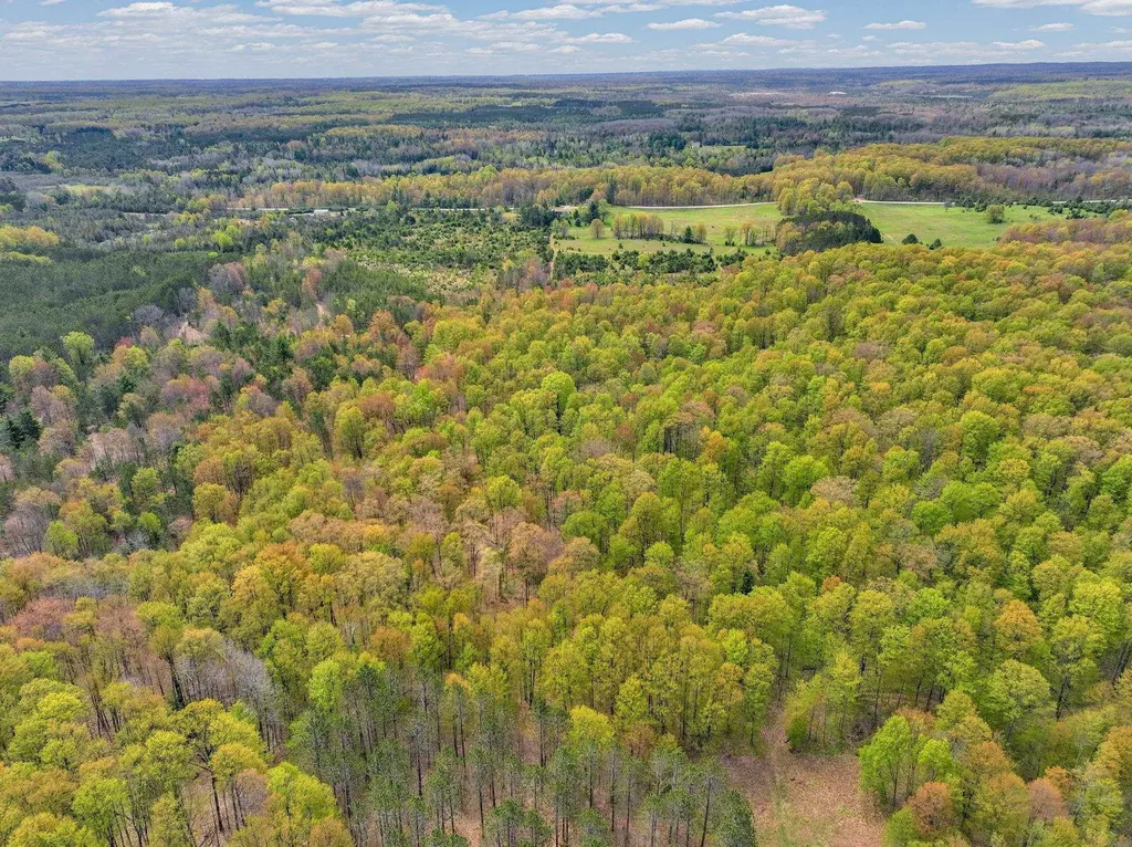 22386 16 Mile Road Le Roy Township MI 49655