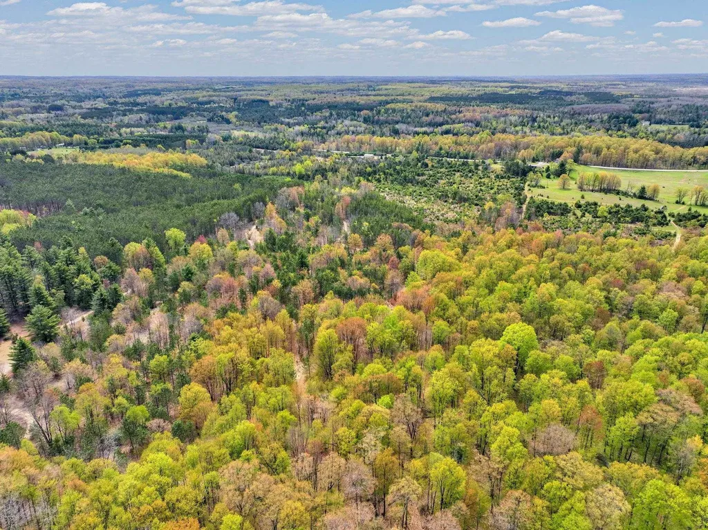 22386 16 Mile Road Le Roy Township MI 49655