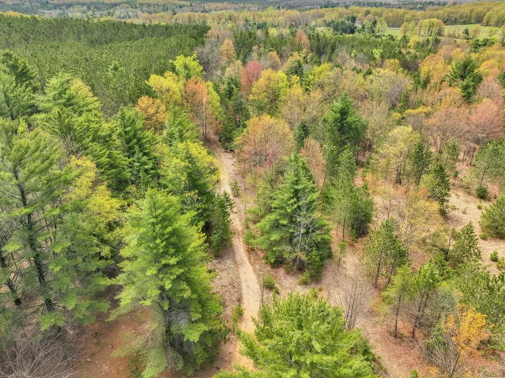 22386 16 Mile Road Le Roy Township MI 49655