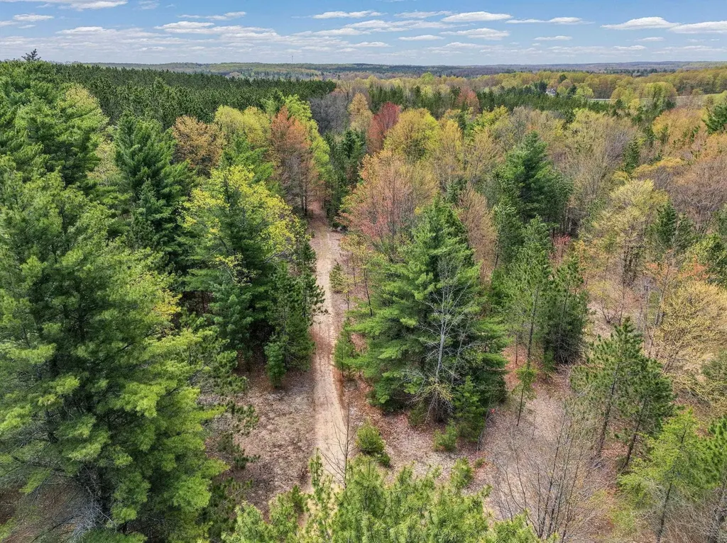 22386 16 Mile Road Le Roy Township MI 49655