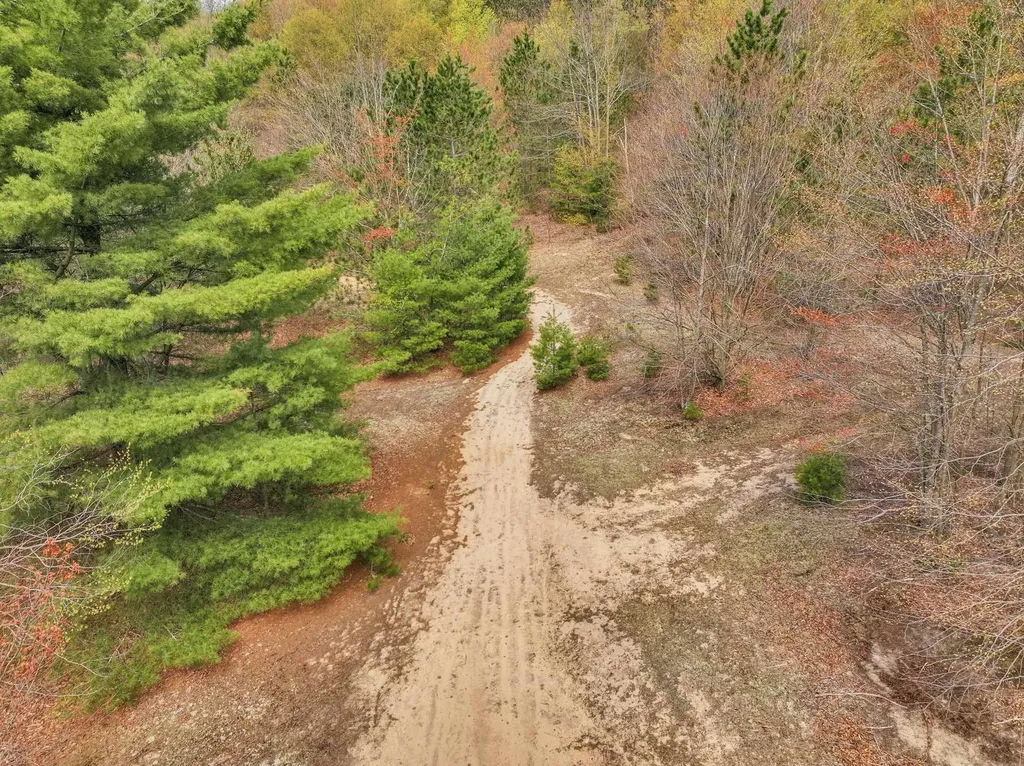 22386 16 Mile Road Le Roy Township MI 49655