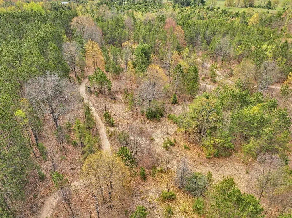 22386 16 Mile Road Le Roy Township MI 49655