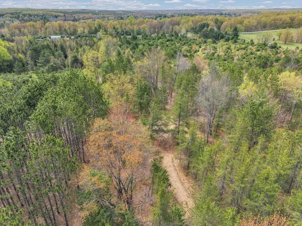 22386 16 Mile Road Le Roy Township MI 49655