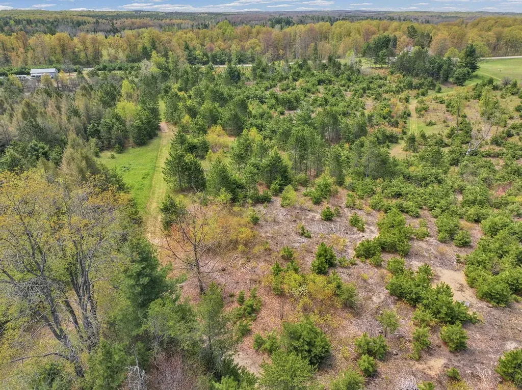 22386 16 Mile Road Le Roy Township MI 49655