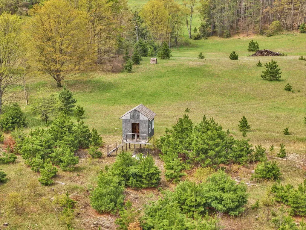 22386 16 Mile Road Le Roy Township MI 49655
