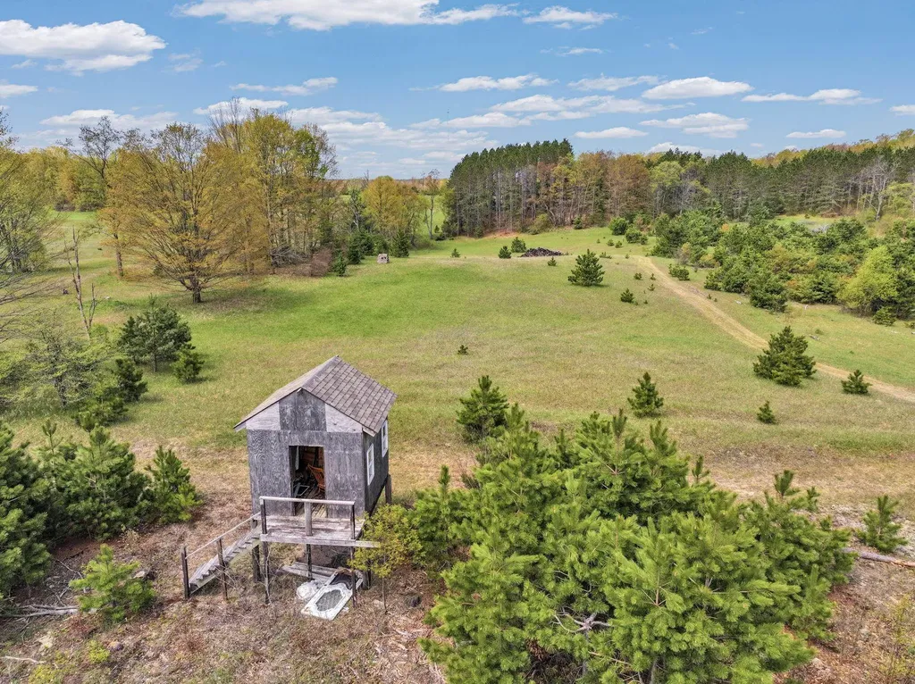 22386 16 Mile Road Le Roy Township MI 49655