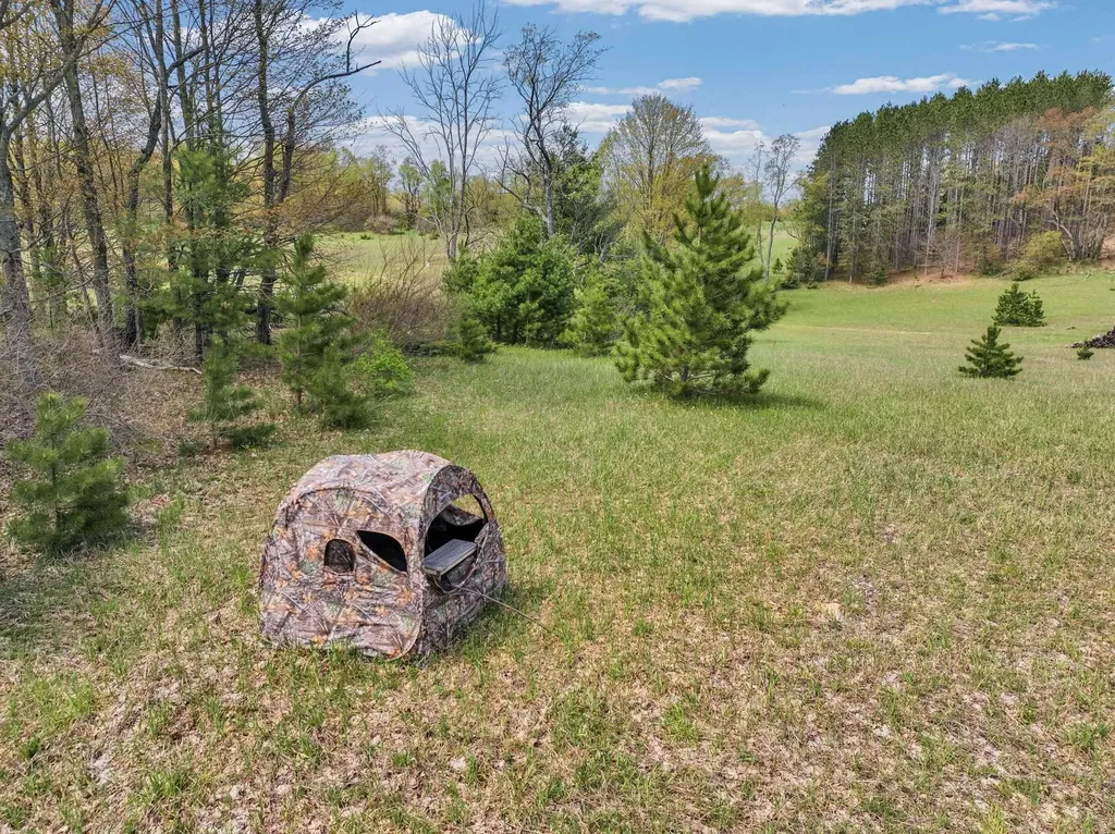 22386 16 Mile Road Le Roy Township MI 49655
