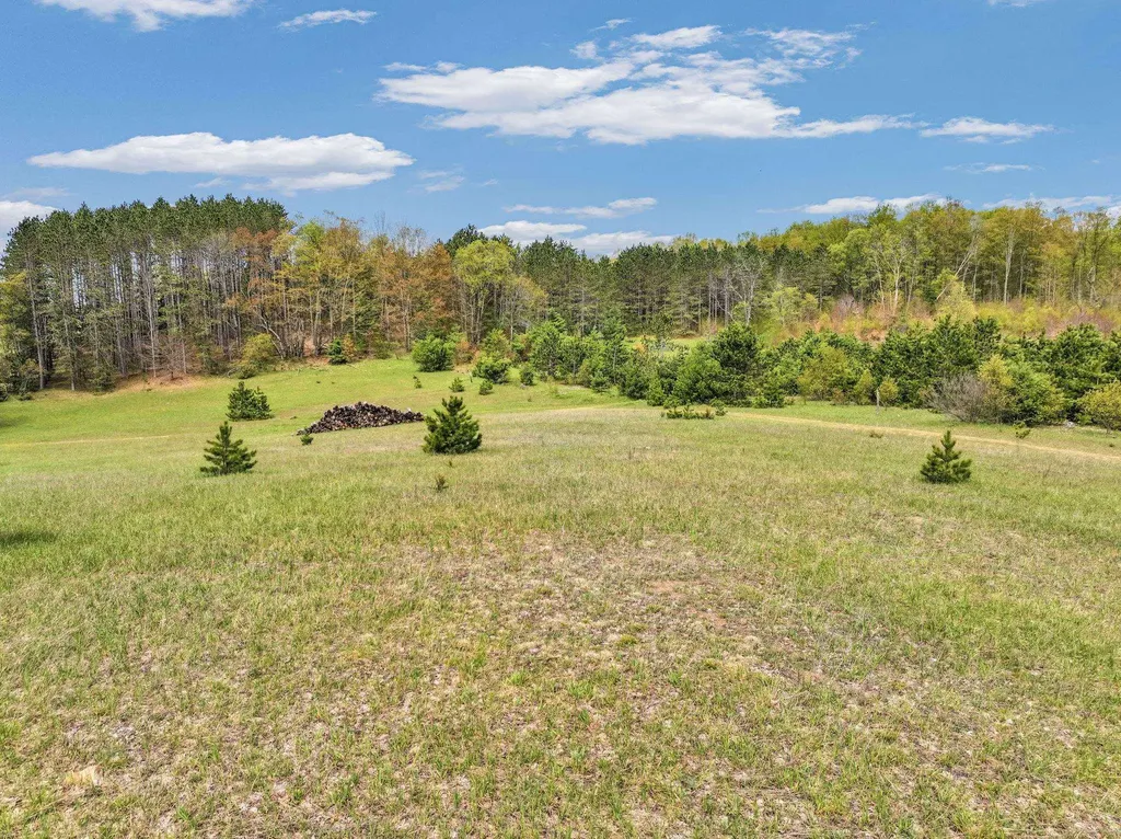 22386 16 Mile Road Le Roy Township MI 49655