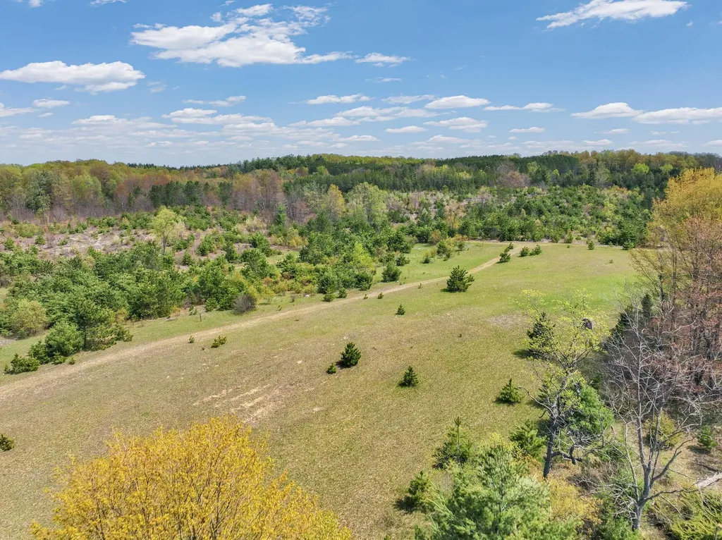 22386 16 Mile Road Le Roy Township MI 49655