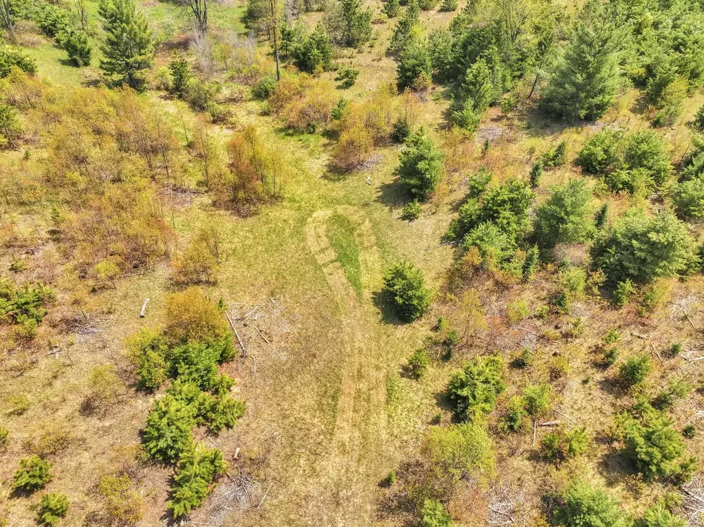 22386 16 Mile Road Le Roy Township MI 49655