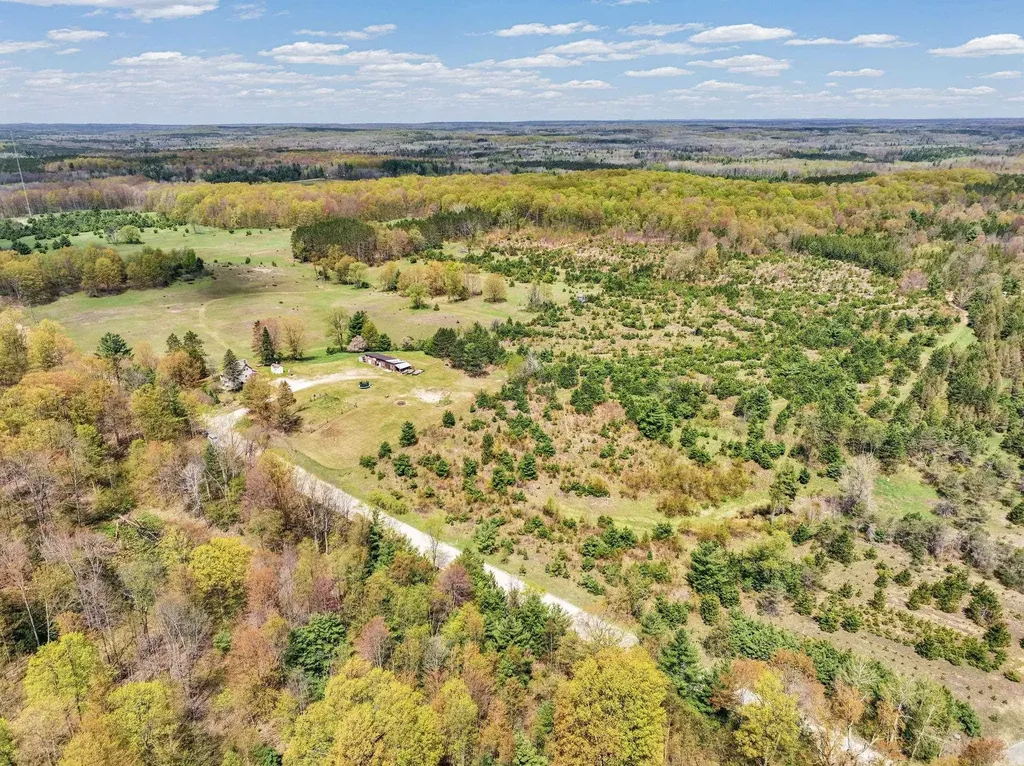 22386 16 Mile Road Le Roy Township MI 49655