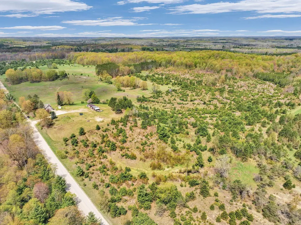 22386 16 Mile Road Le Roy Township MI 49655