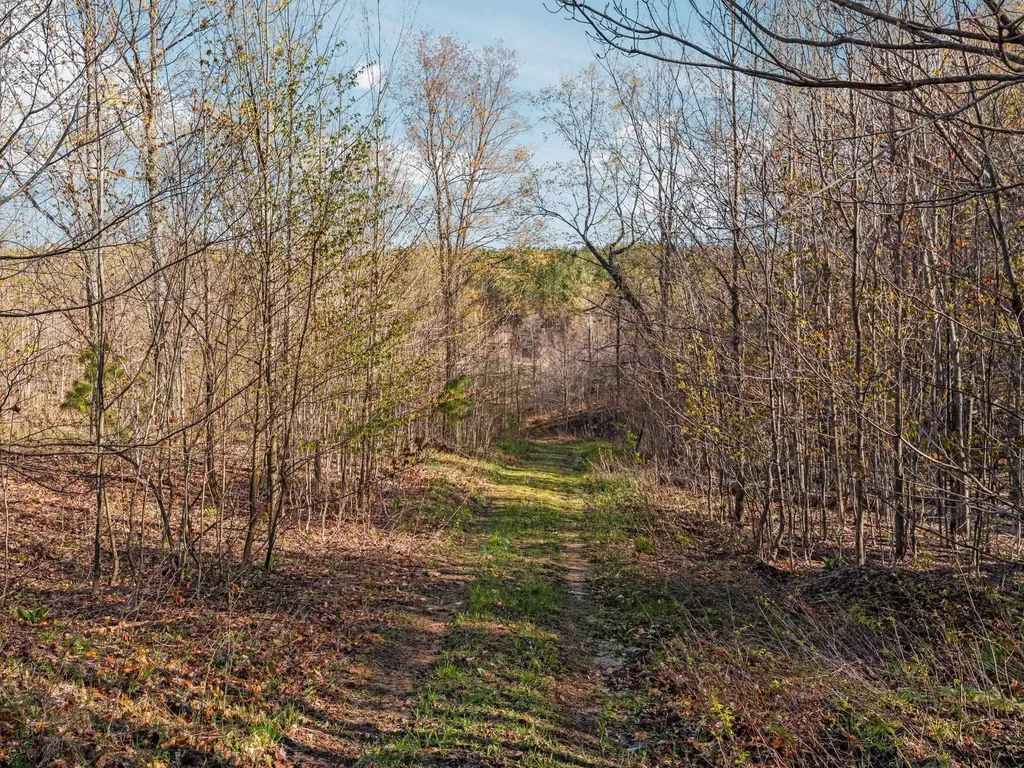 00 E 20 Road Colfax Township MI 49663