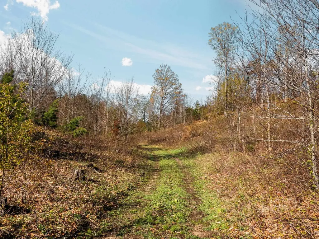 00 E 20 Road Colfax Township MI 49663