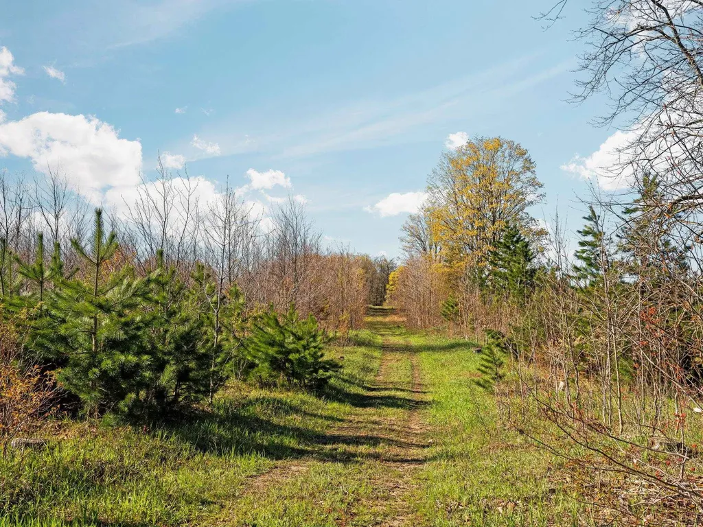 00 E 20 Road Colfax Township MI 49663