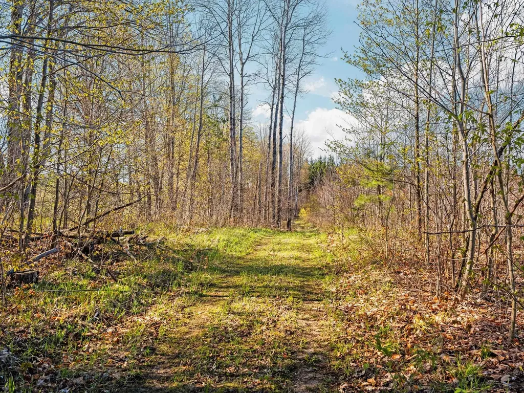 00 E 20 Road Colfax Township MI 49663