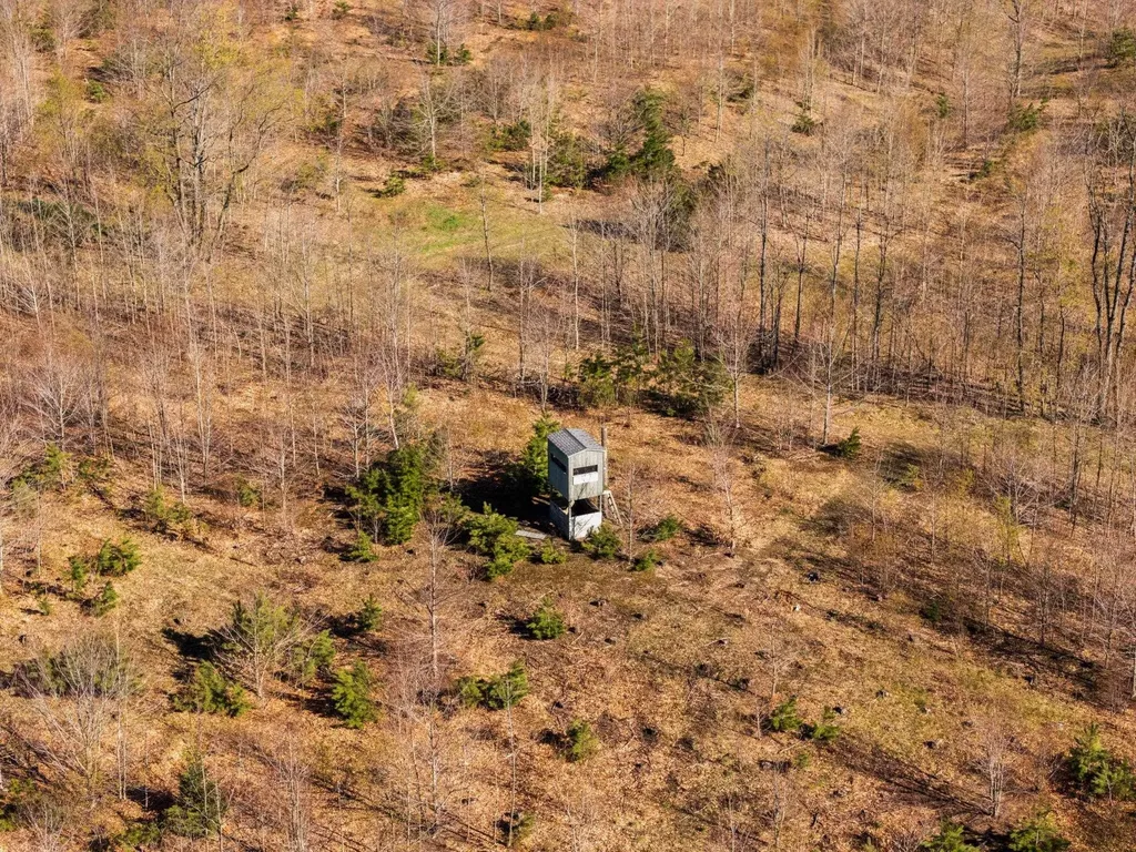 00 E 20 Road Colfax Township MI 49663