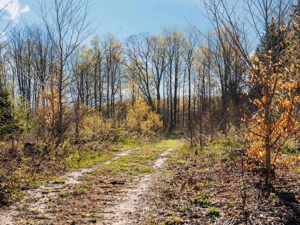 00 E 20 Road Colfax Township MI 49663