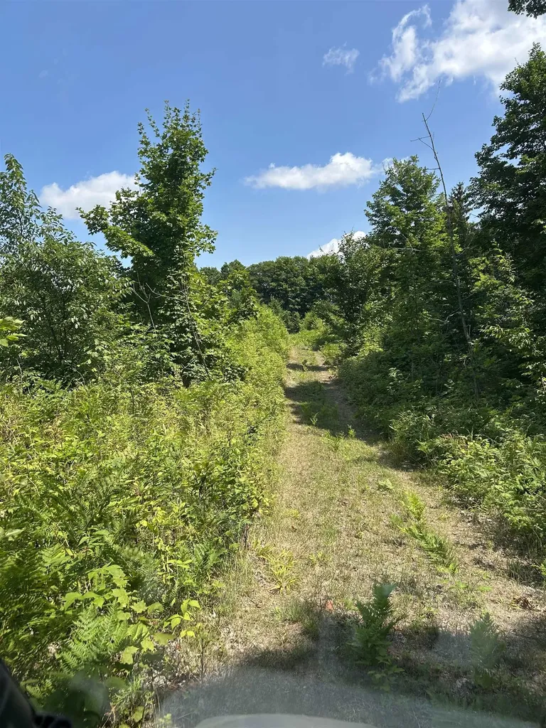 00 E 20 Road Colfax Township MI 49663