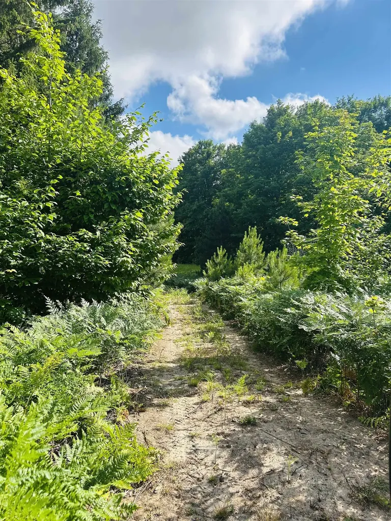 00 E 20 Road Colfax Township MI 49663