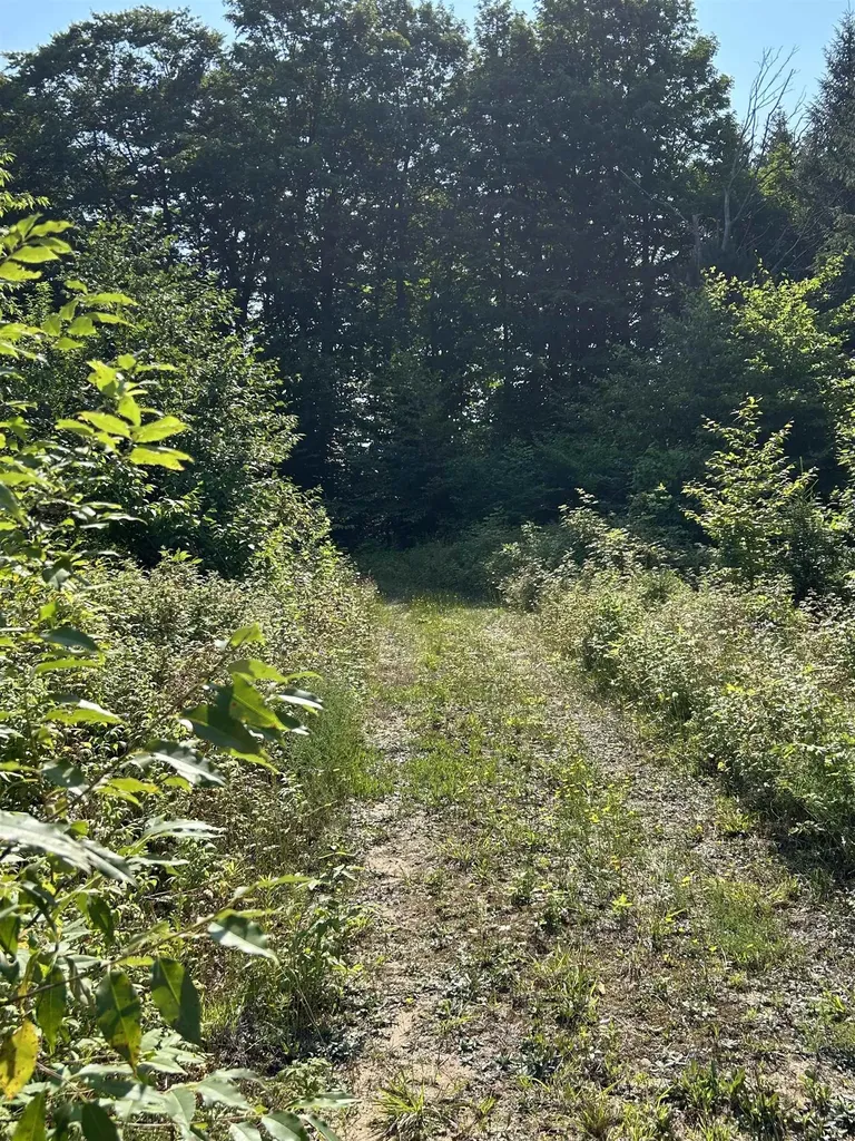 00 E 20 Road Colfax Township MI 49663