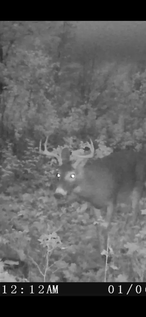 00 E 20 Road Colfax Township MI 49663