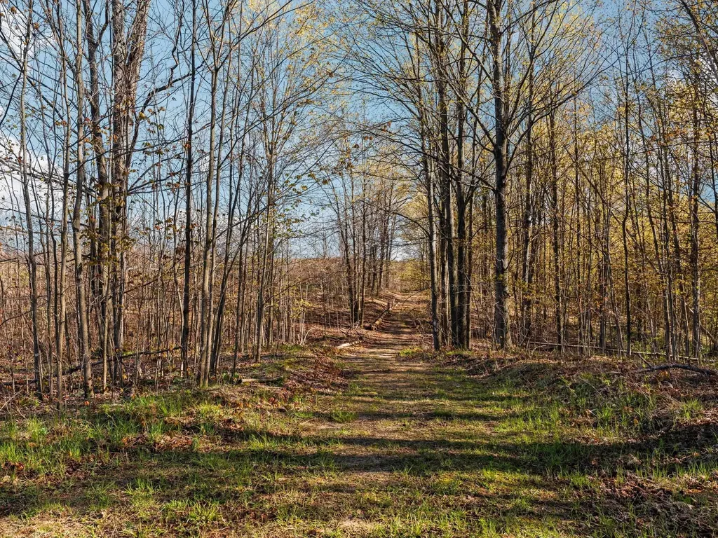 00 E 20 Road Colfax Township MI 49663