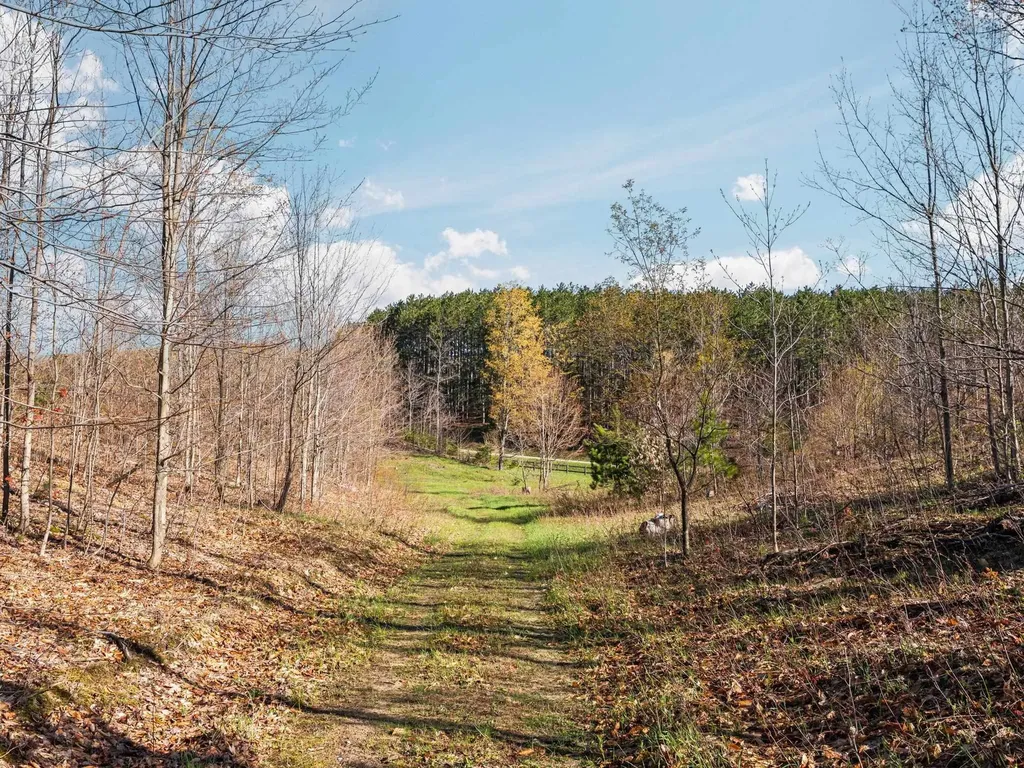 00 E 20 Road Colfax Township MI 49663