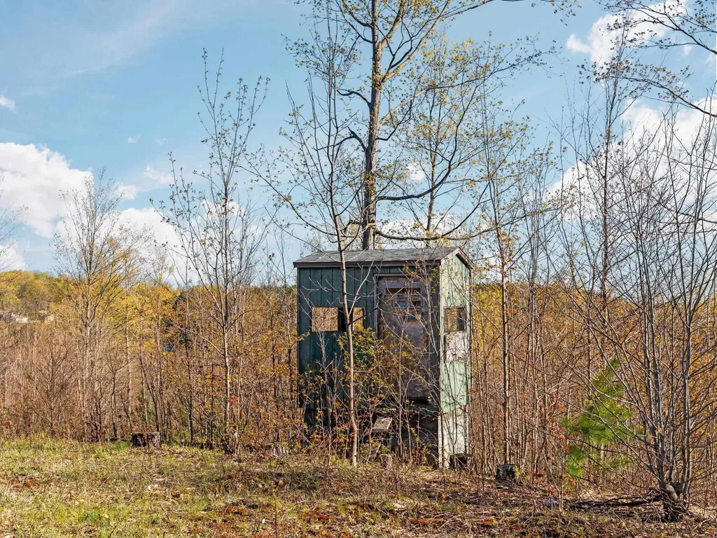 00 E 20 Road Colfax Township MI 49663