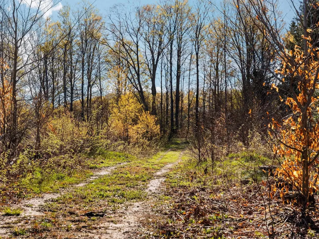 00 E 20 Road Colfax Township MI 49663
