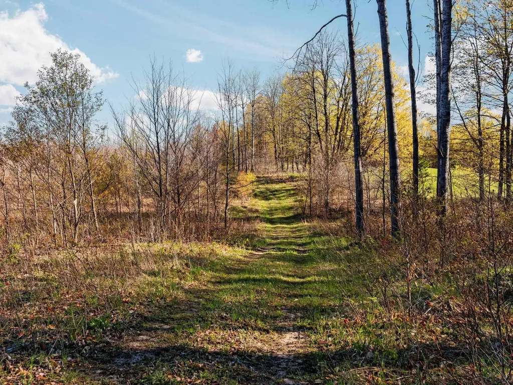 00 E 20 Road Colfax Township MI 49663