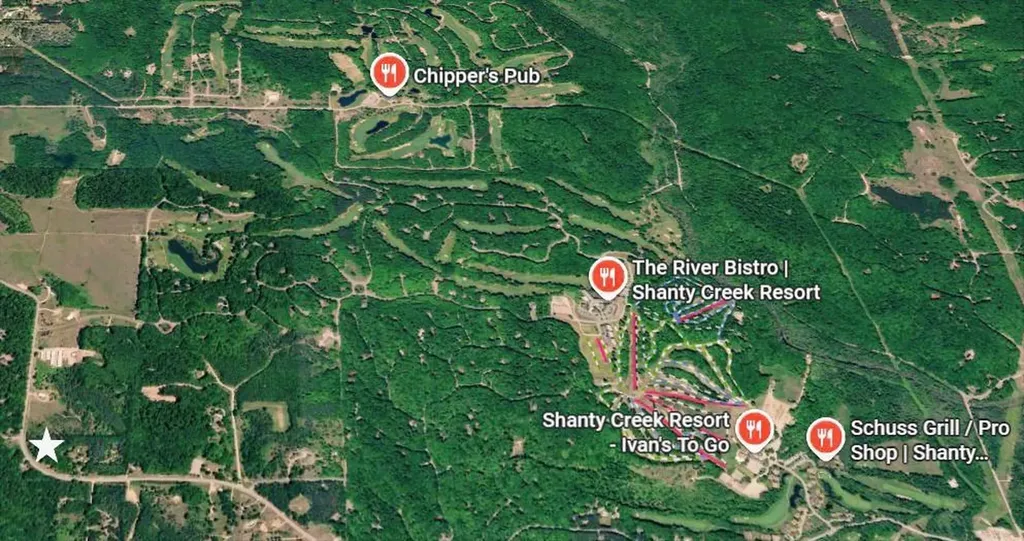 0 Shanty Creek Road Custer Township MI 49615
