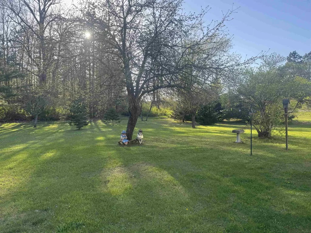 1012 S 35 Road Selma Township MI 49601